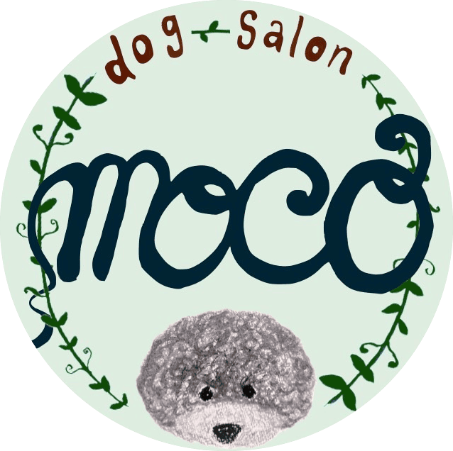 大阪府岸和田市のトリミングサロン｜dogsalon moco｜忠岡駅徒歩6分